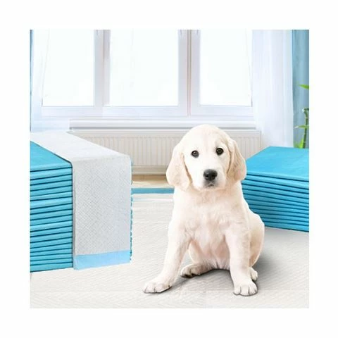 Pawfection - Puppy Dog Pet Training Pads 60 X 60cm 400pcs 1 Pawfection - Puppy Dog Pet Training Pads 60 X 60cm 400pcs